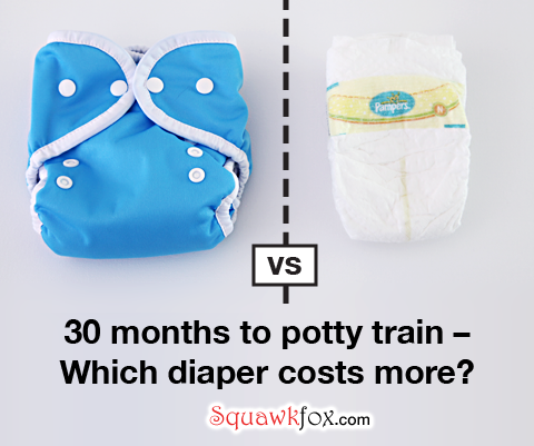 baby cloth diaper price